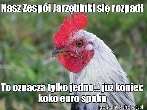 Nasz Zespół Jarzębinki się rozpadł