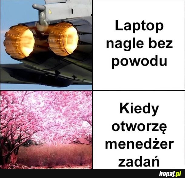 Nic tu się nie dzieje