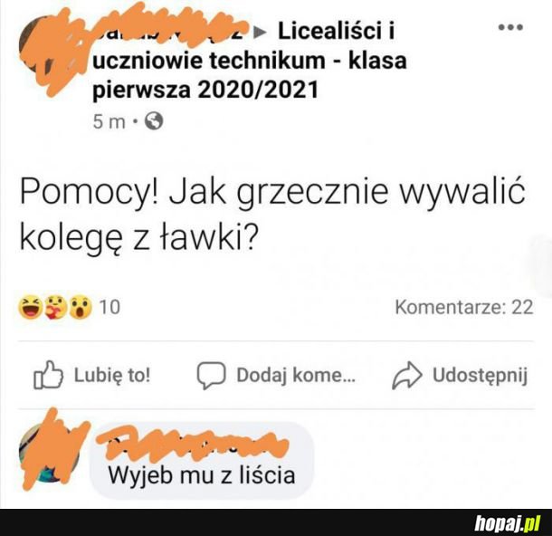 Kolega z ławki