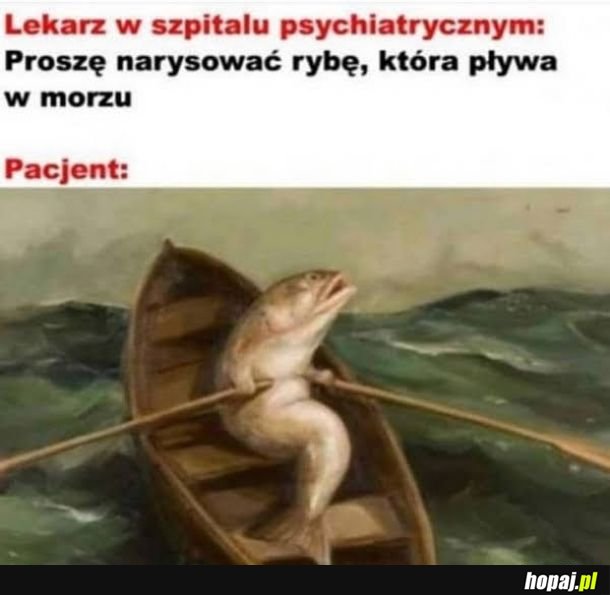 Ryba co pływa