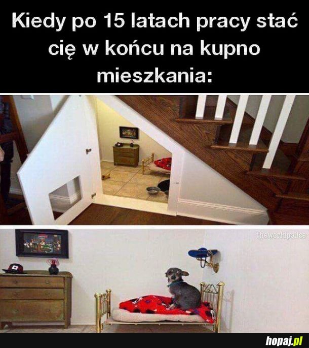 Moje własne 