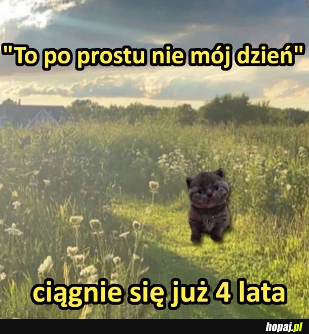 I tak już od 4 lat