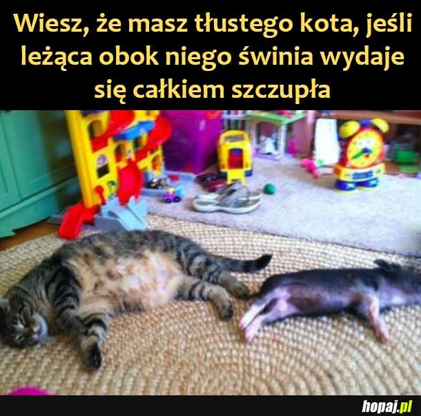 Tłuściutko