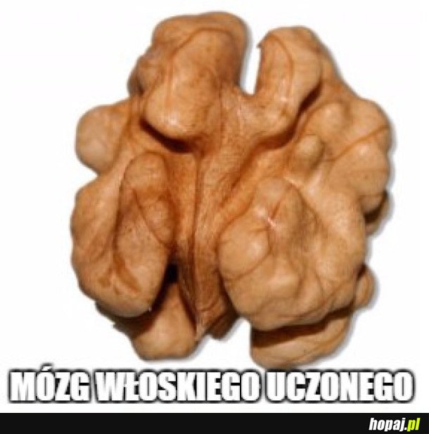 WŁOSZCZYZNA