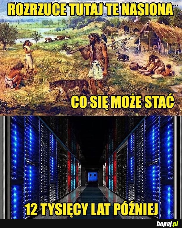 Szybko poszło w sumie