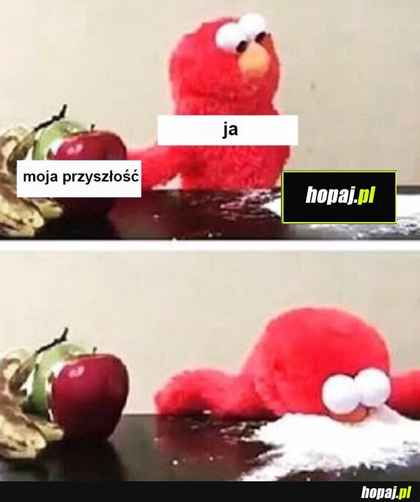 MOJE ŻYCIE