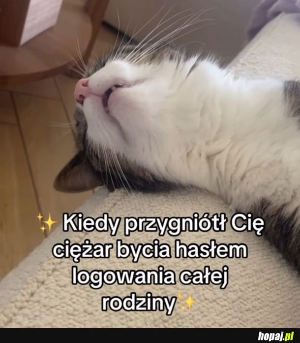 Ciężkie brzemie