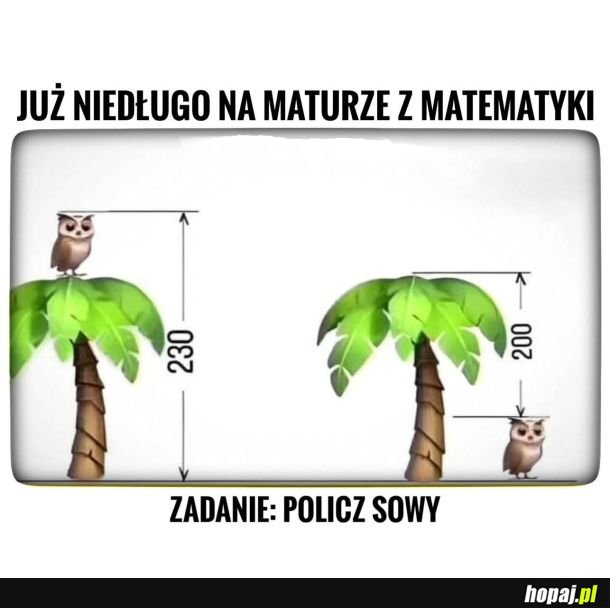 Matura po szkolnictwie Czarnka i Nowackiej