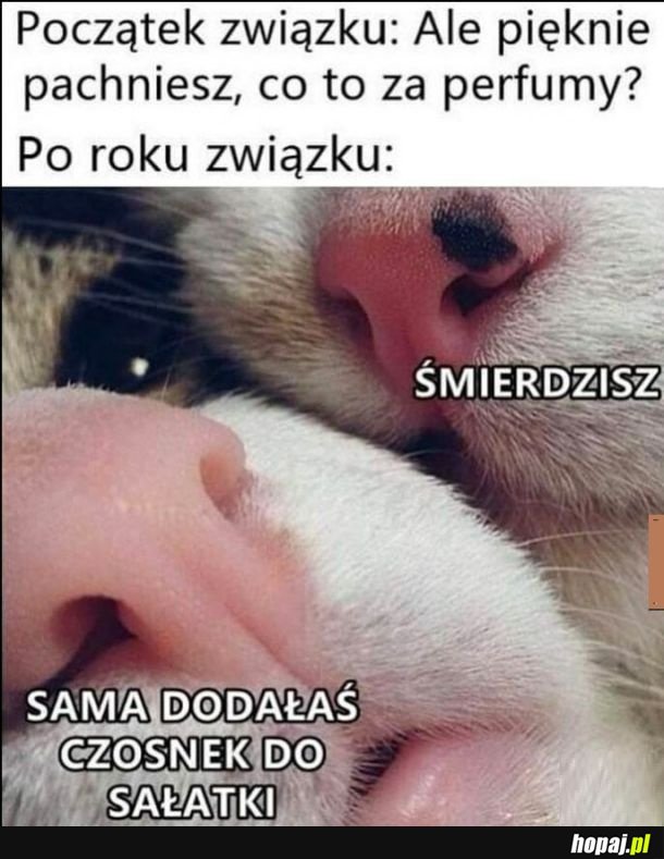 Związek