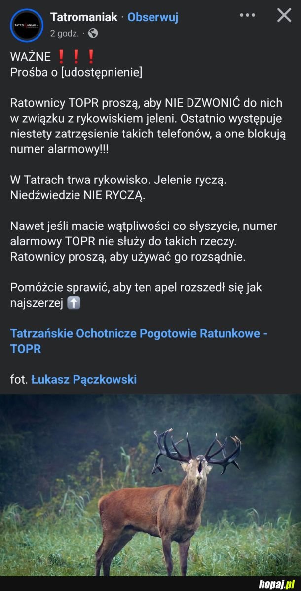 Udostępniam LOL