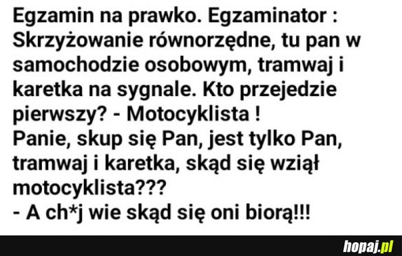 NA EGZAMINIE NA PRAWKO