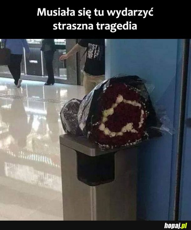 Minuta ciszy 