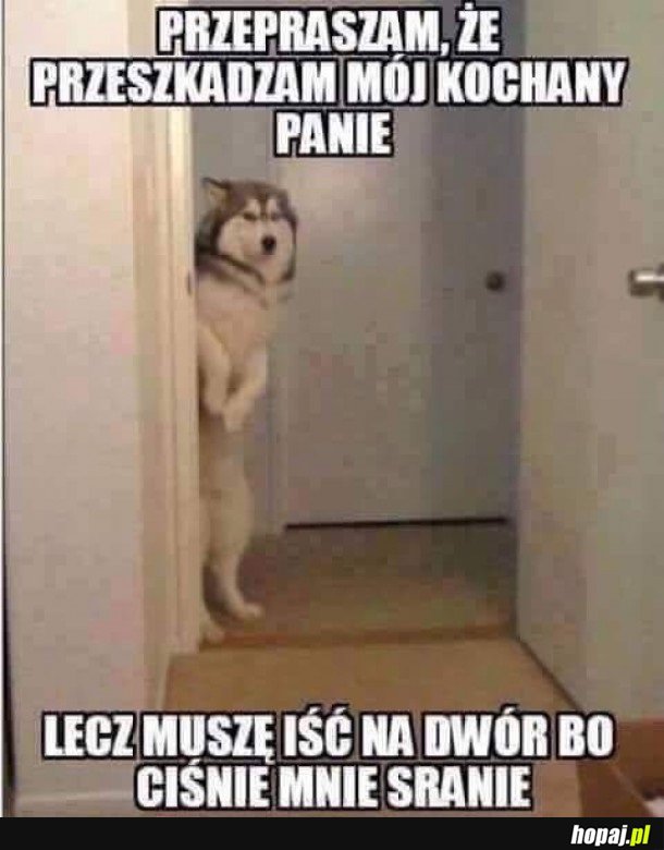 PRZEPRASZAM, ŻE PRZESZKADZAM...