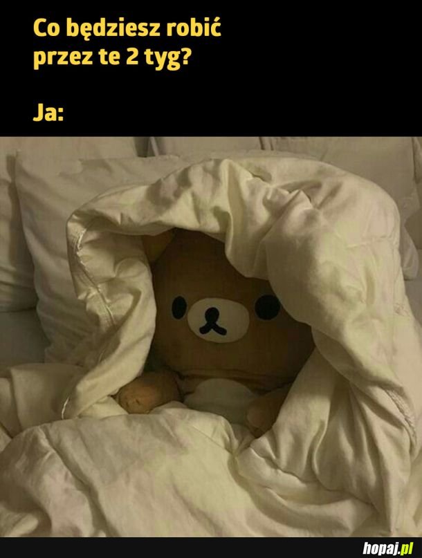 Taka rzeczywistość