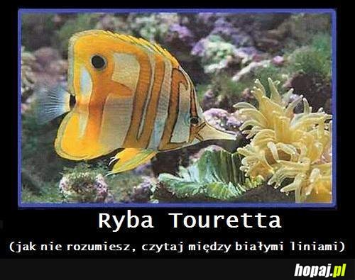 Ryba z Tourettem