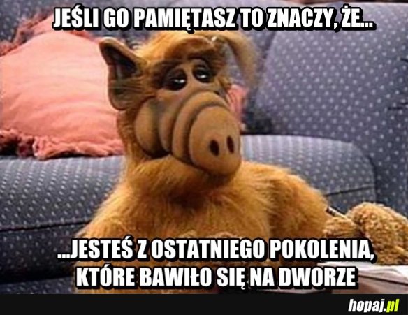 Pamiętacie?