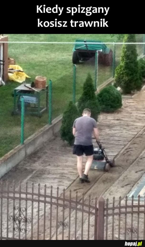 Najlepiej 