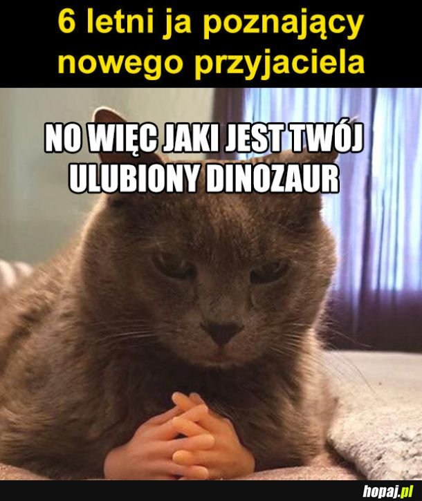 Nowy przyjaciel