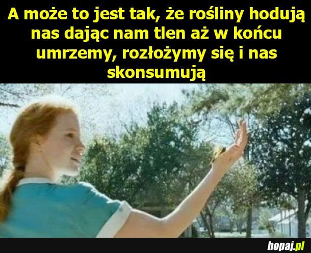 A może