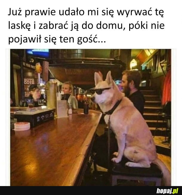 Nie masz z nim szans