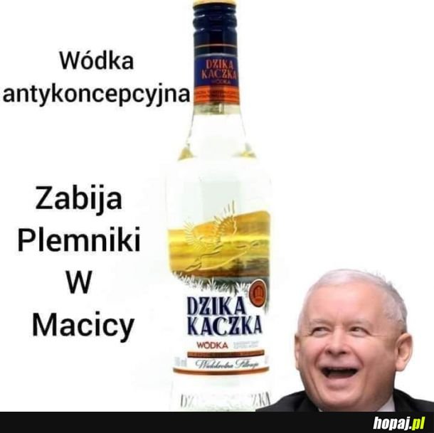 Wóda kaczorówa