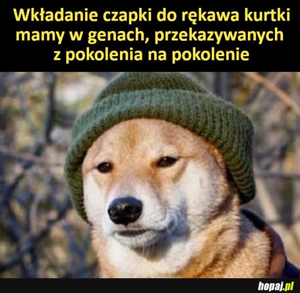 Mamy to w genach