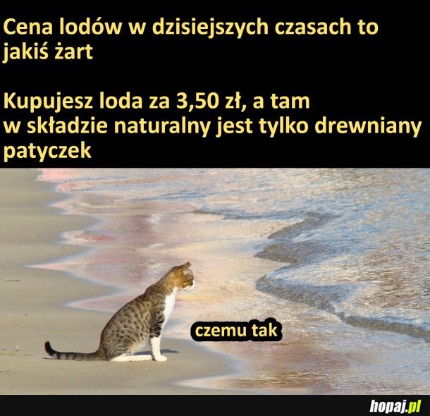 Cena lodów