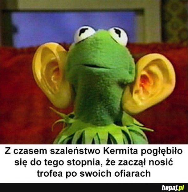 CO TEN KERMIT