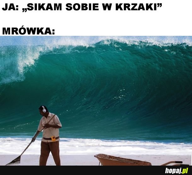 Zaskoczona mrówka