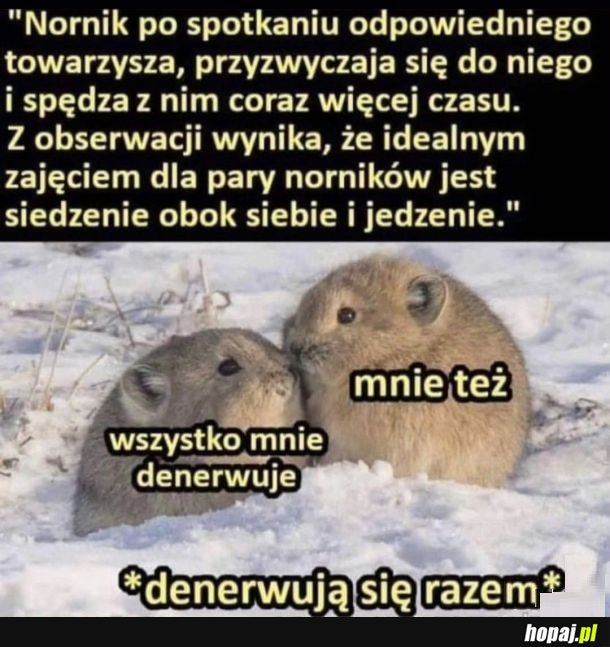 Razem