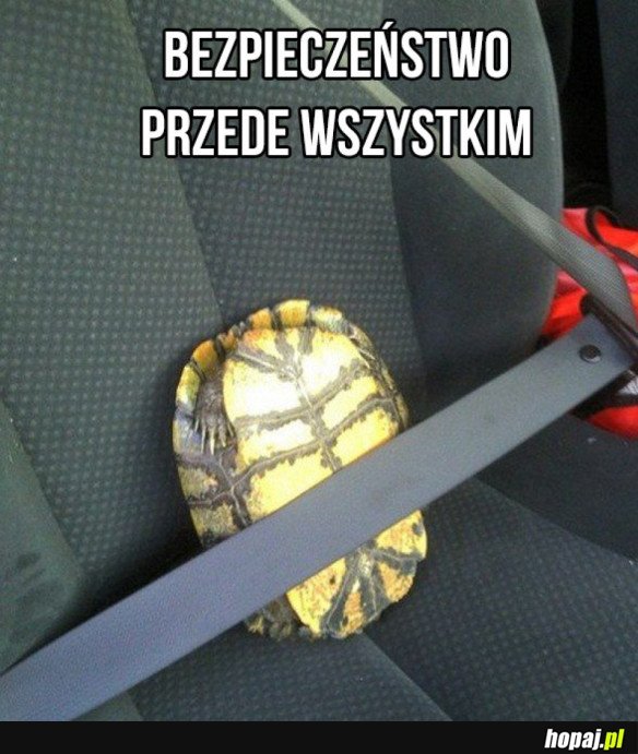 Bezpieczeństwo