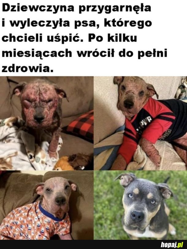 Nie zostało nawet śladu