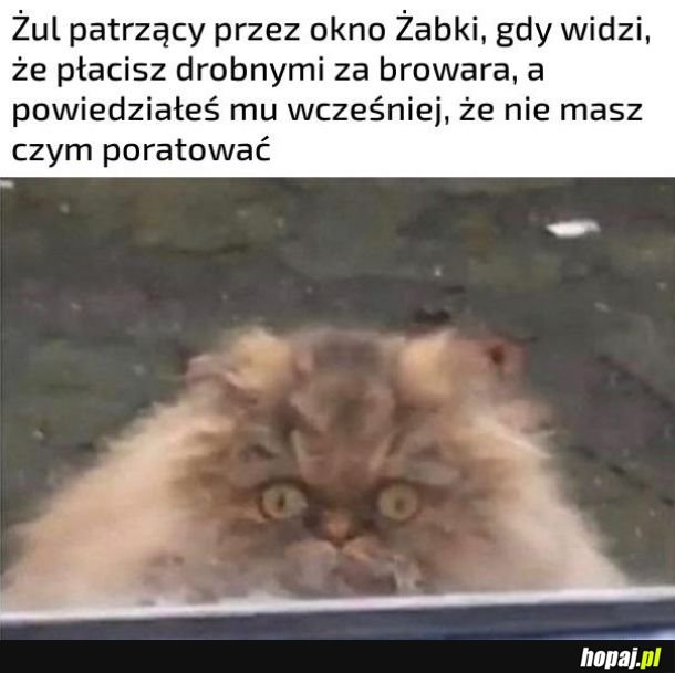 Wściekły żul