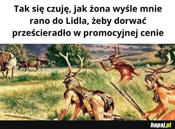 Współczesny mysliwy