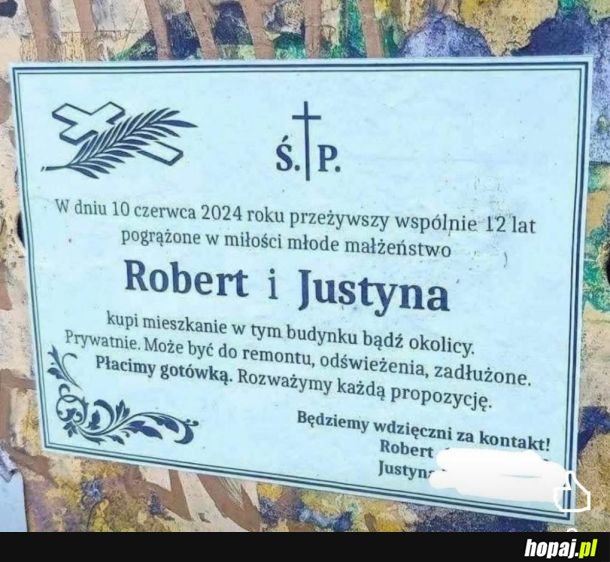 Fliperzy wchodzą na nowy level