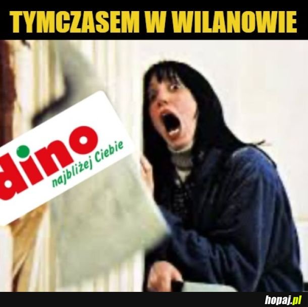Here's Dino!