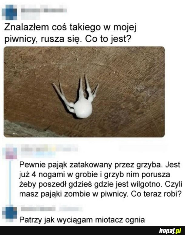 Dziwny stwór