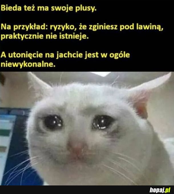 Plusy biedy