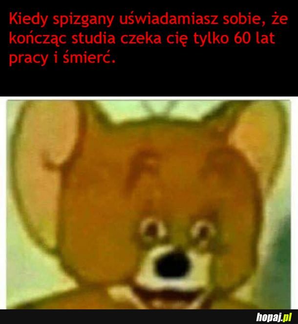 Jes jak jes