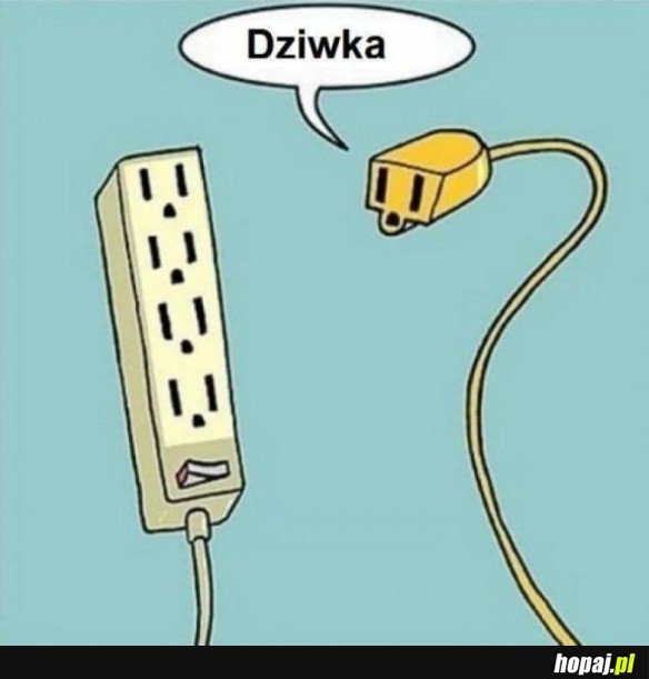 WIDAĆ, ŻE SIĘ PUSZCZA