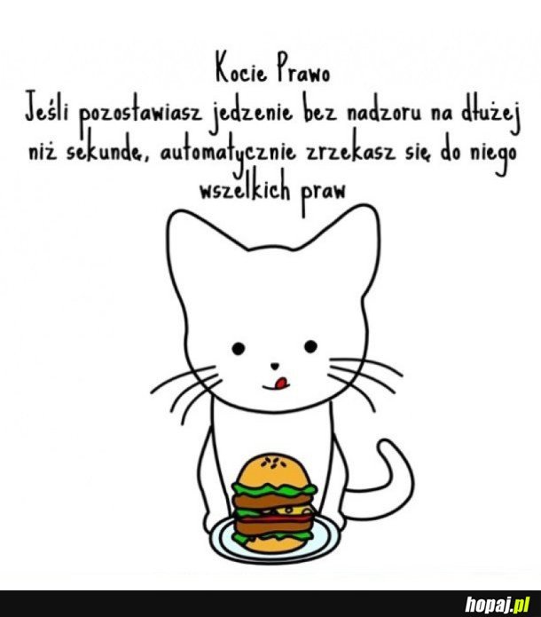 KOCIE PRAWO