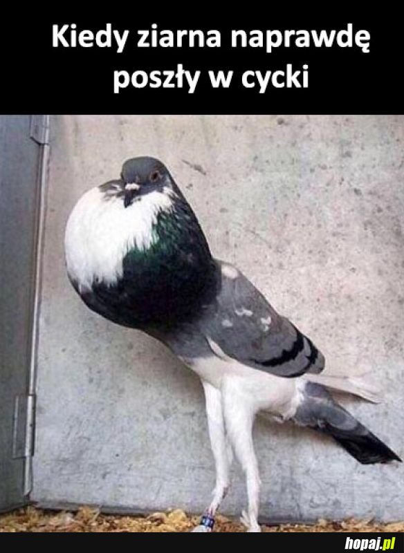I o to chodziło