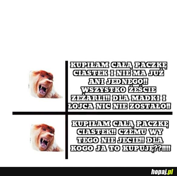 Januszowa logika