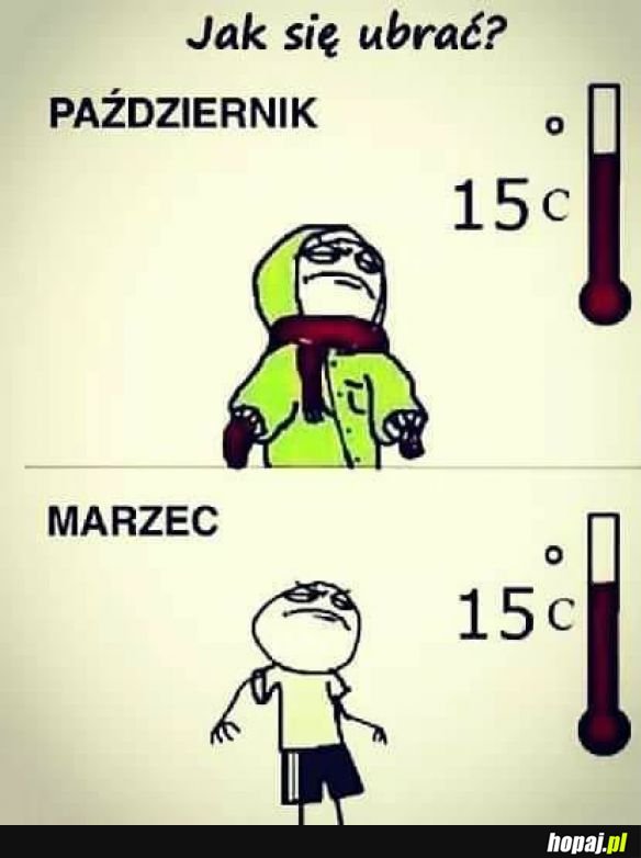 Tak to wygląda