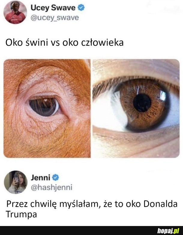 Przewidziało się