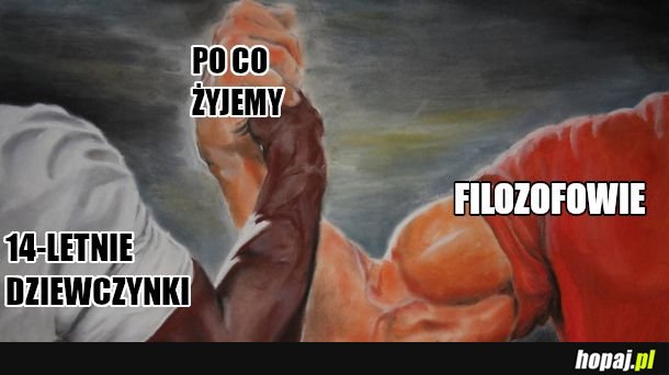 Nie ma sensu 
