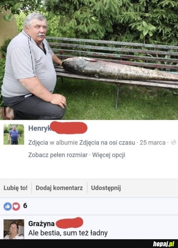 Bestia