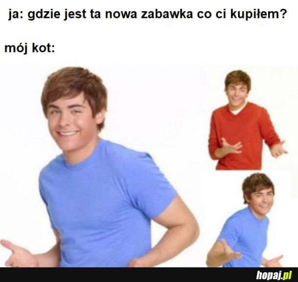 Kocie czemu ty to robisz?