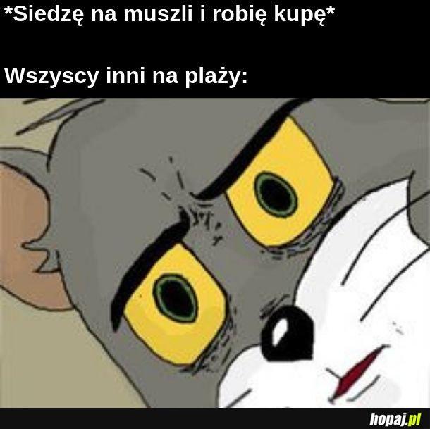 Muszla 