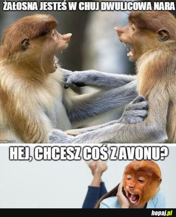 Koleżanki Karynki 